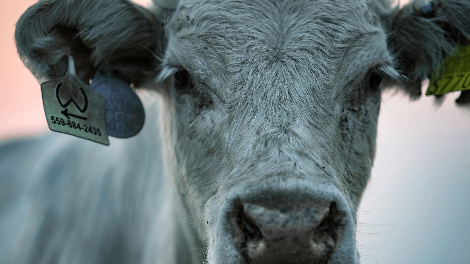 Wisconsin Labor Laws