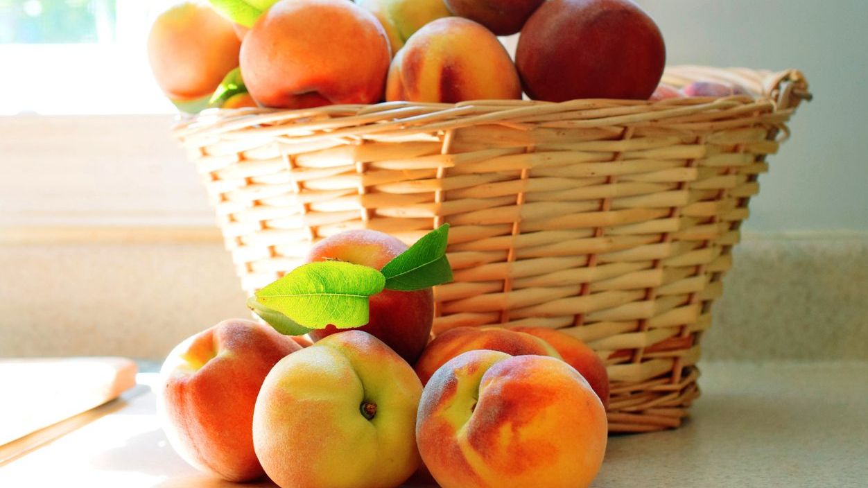 Georggia State Labor Laws