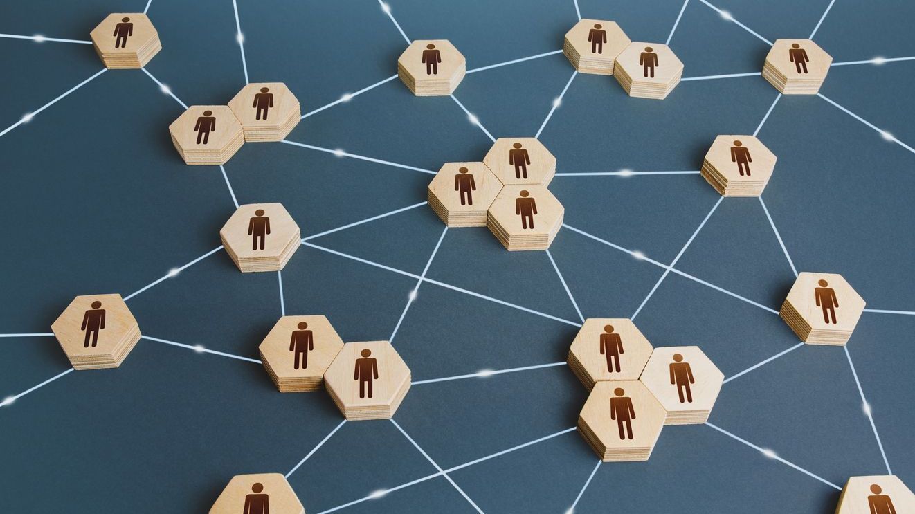 Organization Structure