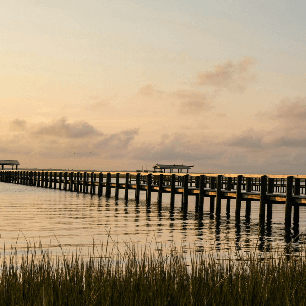 commercial landscaping maintenance richmond virginia