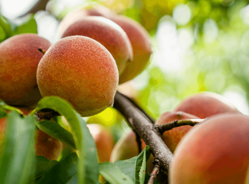 commercial plumber atlanta georgia