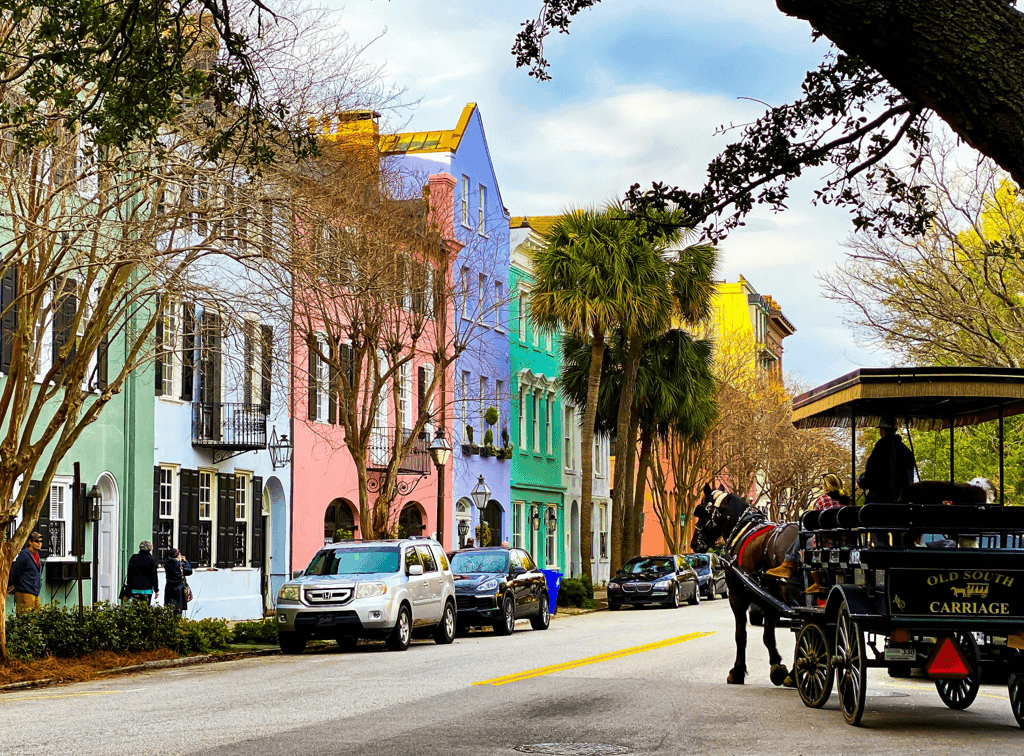 franchise opportunities charleston south carolina