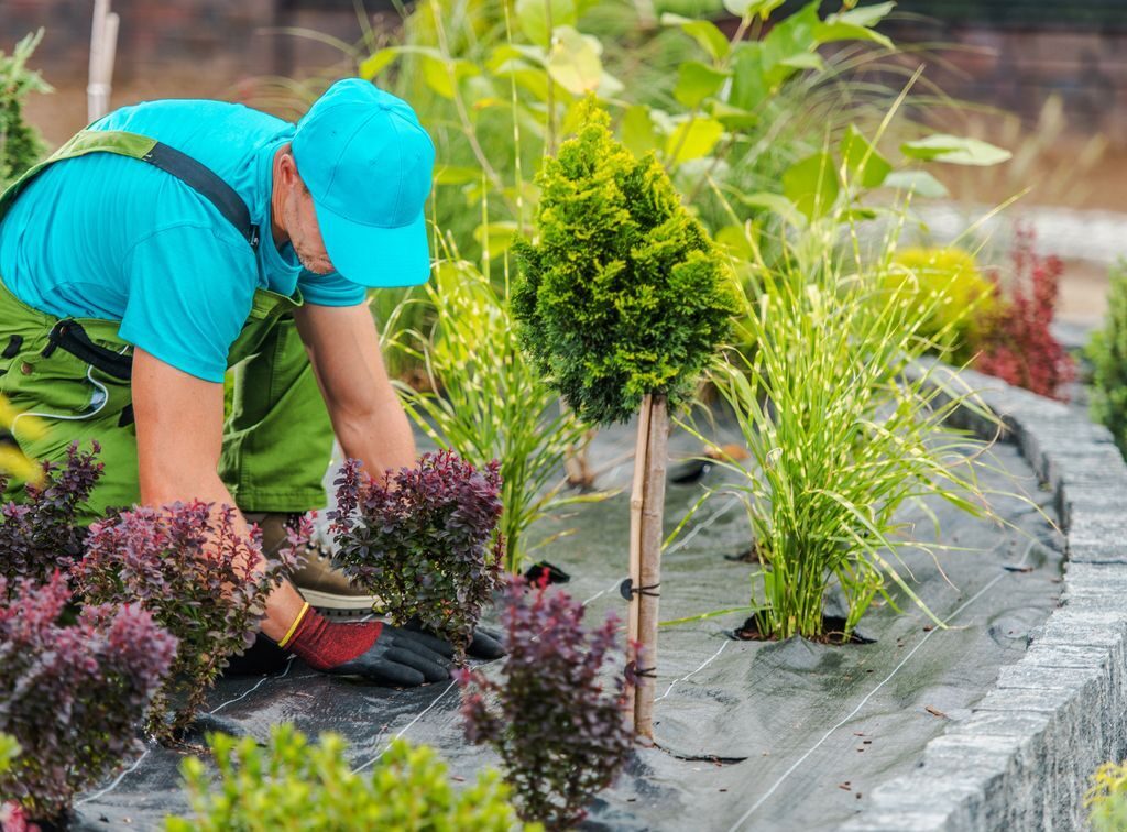 grease trap cleaning denver colorado