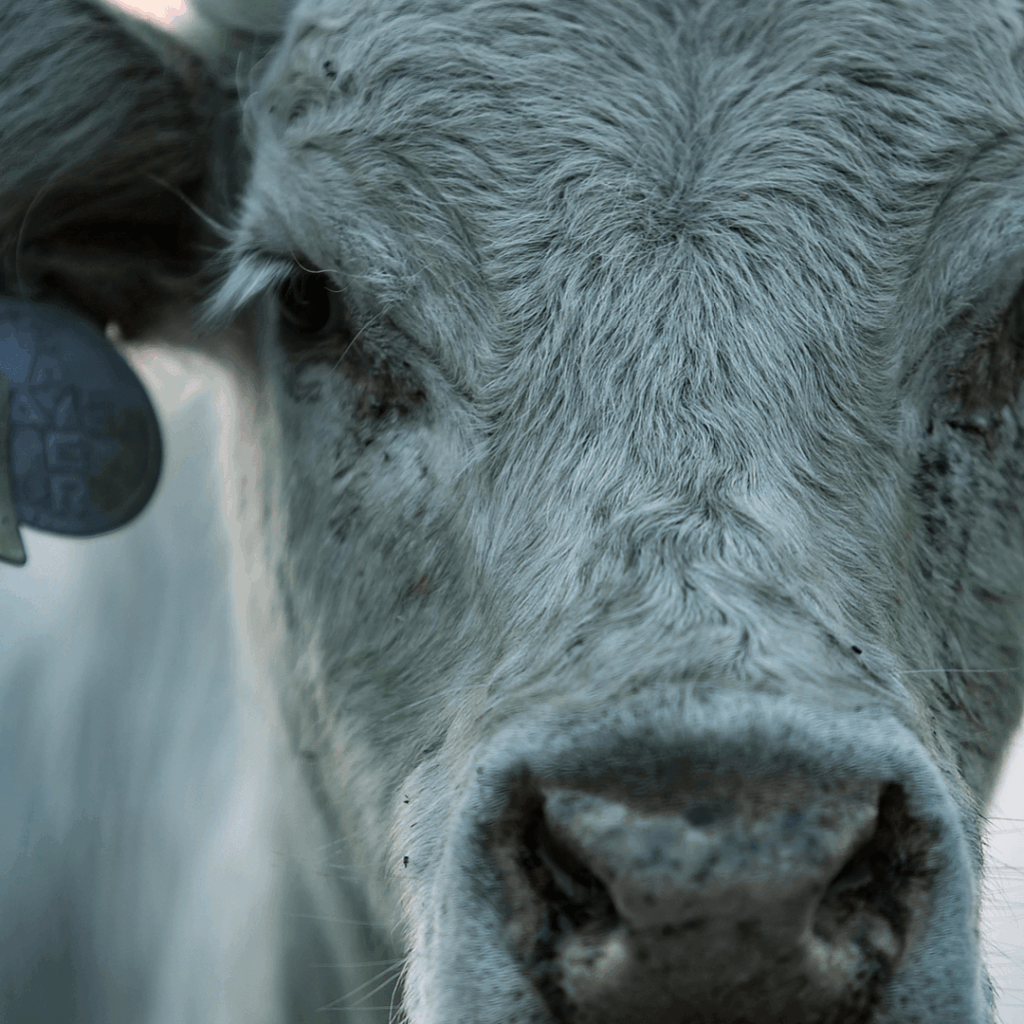 grease trap cleaning milwaukee wisconsin